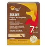 營養保充劑 保健用品 Cosset 靈芝蟲草老年犬專用配方 30粒 (CS0002A)