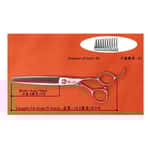 皮膚毛髮護理 清潔美容用品 Solidpet蘇力 專業美容剪 牙剪 6.5吋 (PCB6546V)