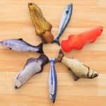 【Petio 木貓砂 換購品】HelloDOG 玩具嚴選 毛絨仿真魚 貓薄荷抱枕 款式隨機 1條