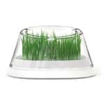 木天蓼 貓草 貓玩具 MOBOLI 秘密森林貓草碗 20x20x10.7cm 白色 (mo10108) 