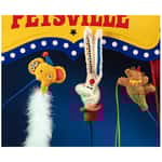 逗貓棒 貓玩具 PETSVILLE ⾺戲團逗貓棒 (款式隨機)