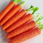 【Petio 木貓砂 換購品】HelloDOG 玩具嚴選 貓玩具 啃咬磨爪 胡蘿蔔逗貓棒 1件