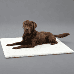 寵物床墊用品 Full Creation 人造羊毛床 thermo bed 48cm x 38cm (FC-B48AS)