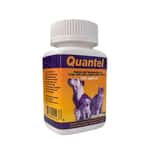 保健用品 Chanelle康圖 寵物用廣效除蟲片 CP01 100片 (貓犬用)