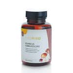 保健用品 Petzential 姬松茸精華素 90粒 (002205) (貓犬用)