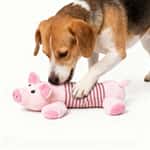 【Victor Victor 狗糧 換購品】HelloDOG 玩具嚴選 咇咇公仔狗狗磨牙玩具 小豬 (粉紅間條)