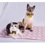 【 Ivory Coat 狗糧 換購品】日式冰涼冷感寵物降溫冰絲墊 L碼 (款式隨機)