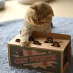 【Petio 木貓砂 換購品】貓咪必玩 貓玩具 瓦楞紙打地鼠玩具