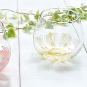 日本清酒杯 東洋佐佐木 BENEDIRE Fleuriru 白色非洲菊 495ml (B-SW91-J392) (圖片3)