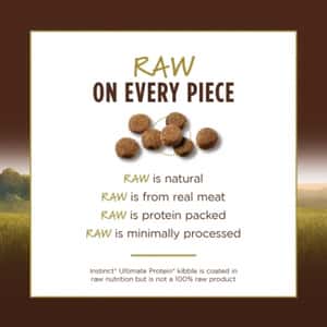 Instinct 貓糧 本能 貓糧 無穀物頂級蛋白質系列 雞肉配方 10lb (658528) (圖片6)