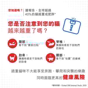 Royal Canin 貓糧 法國皇家貓糧 加護系列 減肥成貓體重控制 LI40 3kg (2524030011) (圖片4)