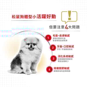 Royal Canin 法國皇家 狗濕糧 松鼠狗成犬專屬主食濕糧 (肉塊) 85g (圖片5)