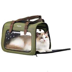 IBIYAYA 移動櫥窗透明寵物外出袋 布藝 6kg (IBI-FC1821OG) (圖片4)