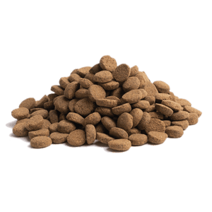 Essential Foods 易膳 狗糧 長青 Older 10kg (大粒) (O-10) (新包裝) (圖片5)