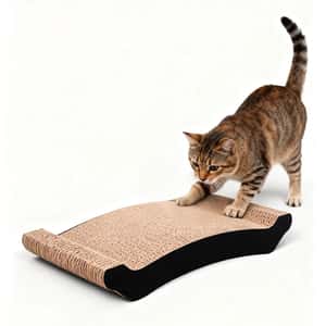 貓抓板 貓爬架 貓玩具 瓦楞紙貓抓板 玩具嚴選 黑邊兜形