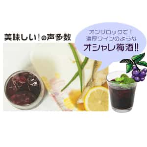 日本中野BC 紀州 藍梅梅酒 1.8L (TBS) (圖片3)