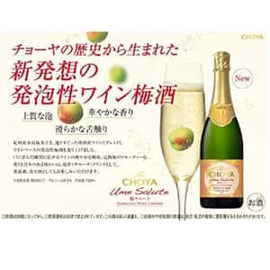 CHOYA 梅酒 蝶矢 德國製 Ume Salute Sparkling 氣泡梅酒 香檳梅酒 有氣梅酒 750ml (圖片3)