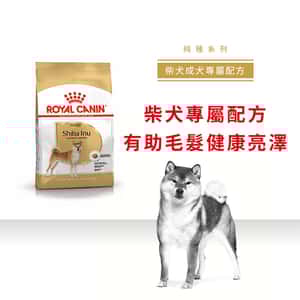 Royal Canin 狗糧 法國皇家狗糧 純種系列 柴犬成犬專屬配方 柴犬 純種犬配方 4kg (2584100) (圖片3)