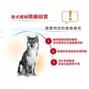 Royal Canin 狗糧 法國皇家狗糧 純種系列 柴犬成犬專屬配方 柴犬 純種犬配方 4kg (2584100) (圖片4)