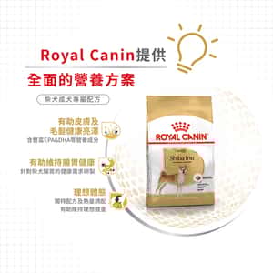 Royal Canin 狗糧 法國皇家狗糧 純種系列 柴犬成犬專屬配方 柴犬 純種犬配方 4kg (2584100) (圖片5)