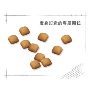 Royal Canin 狗糧 法國皇家狗糧 純種系列 柴犬成犬專屬配方 柴犬 純種犬配方 4kg (2584100) (圖片6)