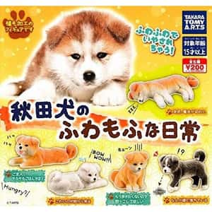 精品 生活用品超級市場 日本直送 狗公仔擺設 秋田犬的蓬鬆日常 一套五隻(TBS) - 清貨優惠