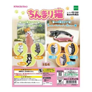 貓咪精品 生活用品超級市場 日本直送 貓公仔擺設 指尖上的小貓 一套六隻 (TBS) - 清貨優惠