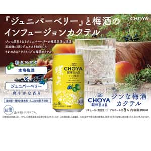 CHOYA 梅酒 蝶矢 銀座BAR Ume Gin Cocktail 雞尾酒梅酒 350ml (黃罐) (圖片3)
