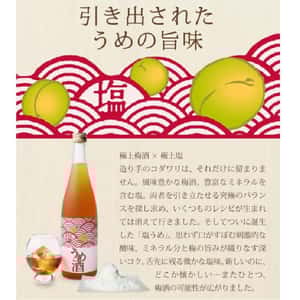 北島酒造 塩うめ 天然海鹽 梅酒 720ml (圖片3)