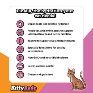 KittyRade 貓貓專屬等滲補水飲料 雞肉味 250ml (貓用) (KR250C) (圖片4)
