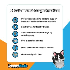 DoggyRade Isotonic Drink 營養補水飲料 雞肉味 500ml (犬用) (DR500C) (圖片4)
