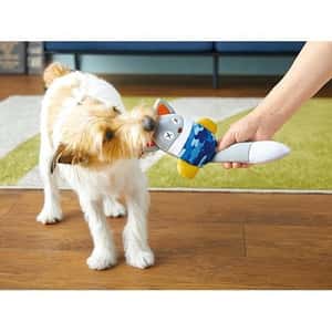 日本Bonbi ILOVEPETS Prienzoo狗狗防水玩具 鳥 一個 (圖片4)