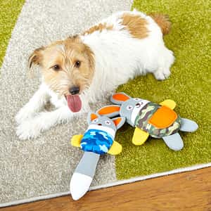 日本Bonbi ILOVEPETS Prienzoo狗狗防水玩具 鱷魚 一個 (圖片3)