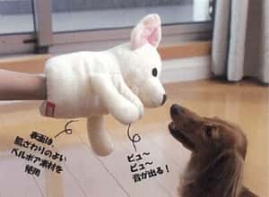 日本Bonbi ILOVEPETS Animal Mitten LoveDog 狗狗手偶玩具 臘腸狗(黑) 一個入 (圖片4)