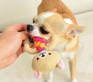 日本Bonbi ILOVEPETS Dental Animal 嚴選狗狗護齒玩具 青蛙 (圖片3)