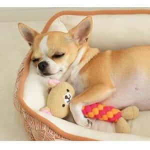 日本Bonbi ILOVEPETS Dental Animal 嚴選狗狗護齒玩具 熊熊 (圖片4)