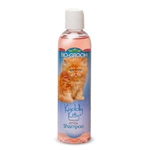 皮膚毛髮護理 貓咪清潔美容用品 BIO-GROOM 幼貓洗毛水 Kuddly Kitty 8oz (BG26008)