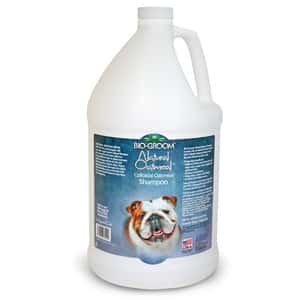 皮膚毛髮護理 清潔美容用品 BIO-GROOM 狗狗燕麥滋潤止癢洗毛水 Natural Oatmeal SOOTHING ANTI-ITCH Shampoo 1gal (BG27128)