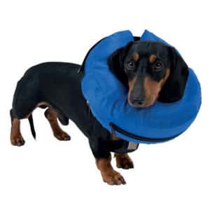 Buster Buster 充氣式頸圈 獵狐爹利、積羅素 Fox Terrier Jack Russell 22cm x 7cm S (279804)