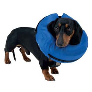 Buster Buster 充氣式頸圈 洛威拿 大丹犬 Rottweiler Great Dane 36cm x 18cm XL (279807)