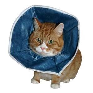 貓咪日常用品推薦：Buster 即棄型頭罩 Disposable Soft Collars (273384)