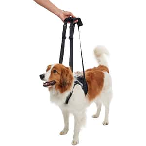 狗帶 狗胸帶 狗雨衣 KRUUSE 犬用輔助步行掛帶 前腿 Rehab Lifting Harness for Front Legs S (161578)