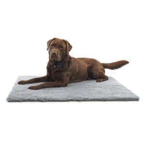 Buster Buster 人造羊毛床 Vet Beds 48cm x 38cm (381600)