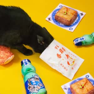 汪喵星球 DogCatStar 台灣小吃貓草包 香雞排 (GC868) (圖片3)