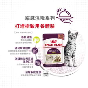 Royal Canin 法國皇家 貓濕糧 貓感系列 肉香營養主食濕糧 (肉汁) SMELL 85g (3033600) (圖片6)