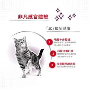 Royal Canin 法國皇家 貓濕糧 貓感系列 鮮味營養主食濕糧 (肉汁) TASTE 85g (3034100) (圖片5)