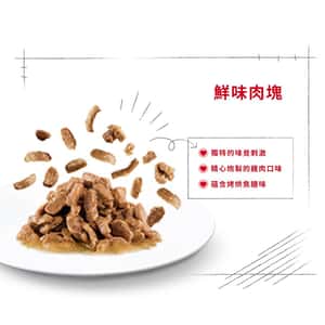 Royal Canin 法國皇家 貓濕糧 貓感系列 口感營養主食濕糧 (肉汁) FEEL 85g (3167100) (圖片7)
