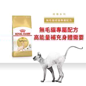 Royal Canin 貓糧 法國皇家貓糧 純種系列 無毛貓成貓專屬配方 2kg (2351000) (圖片4)