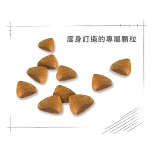 Royal Canin 貓糧 法國皇家貓糧 純種系列 無毛貓成貓專屬配方 2kg (2351000) (圖片5)
