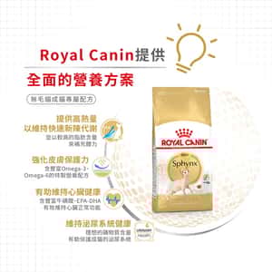 Royal Canin 貓糧 法國皇家貓糧 純種系列 無毛貓成貓專屬配方 2kg (2351000) (圖片6)